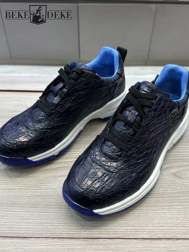 Versatile Crocodile Skin Hard  - Crossfit Hard recension och pris